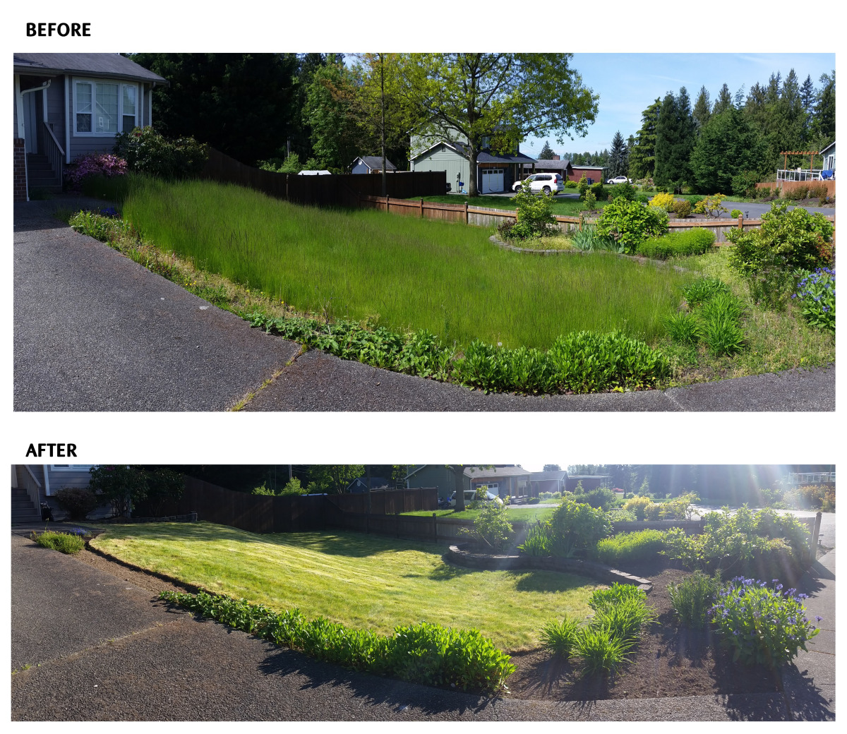 lawn mowing stripes sunny
